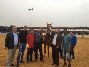  مهرة الشيخ شحادة ابو حلوة من يافا يفوز بالمرتبة الرابعة بمسابقة جمال الخيول في فلسطين 